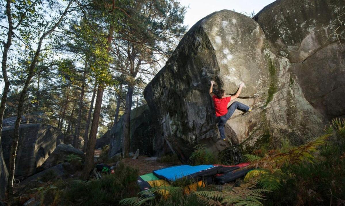 Cocon Napoleon Calme Daire Fontainebleau Dış mekan fotoğraf