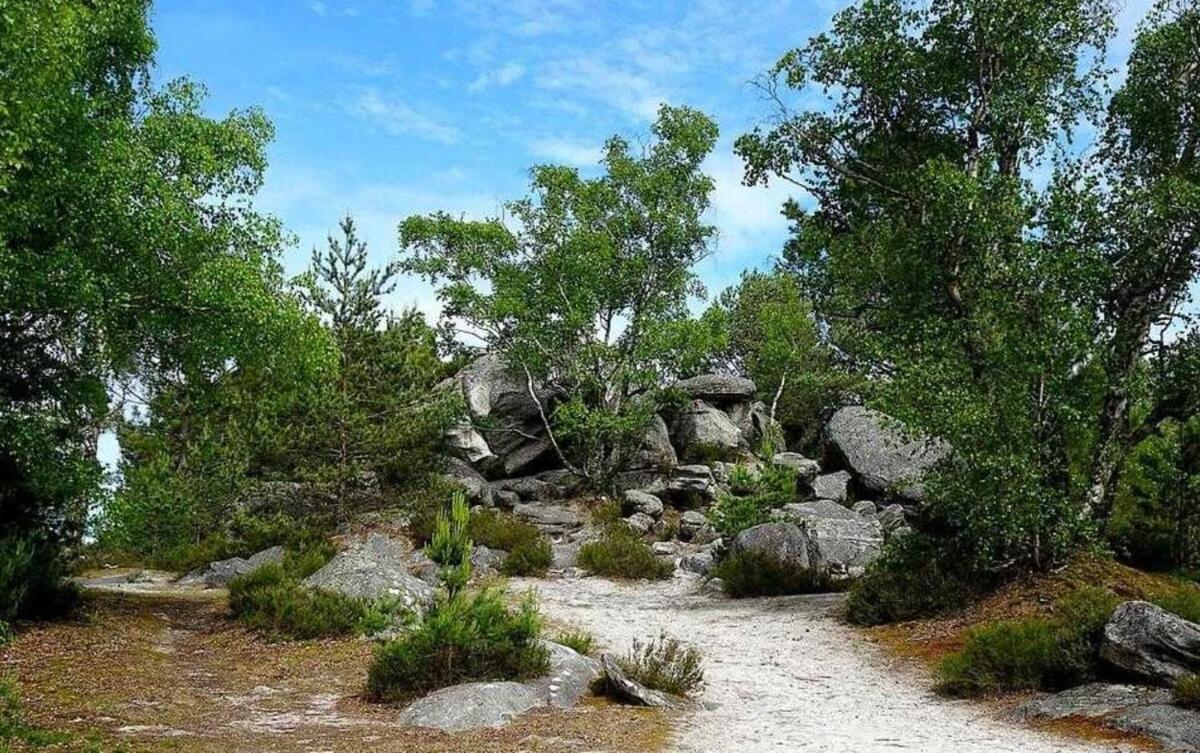 Cocon Napoleon Calme Daire Fontainebleau Dış mekan fotoğraf